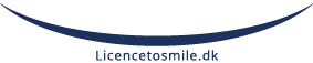 Logo License To Smile